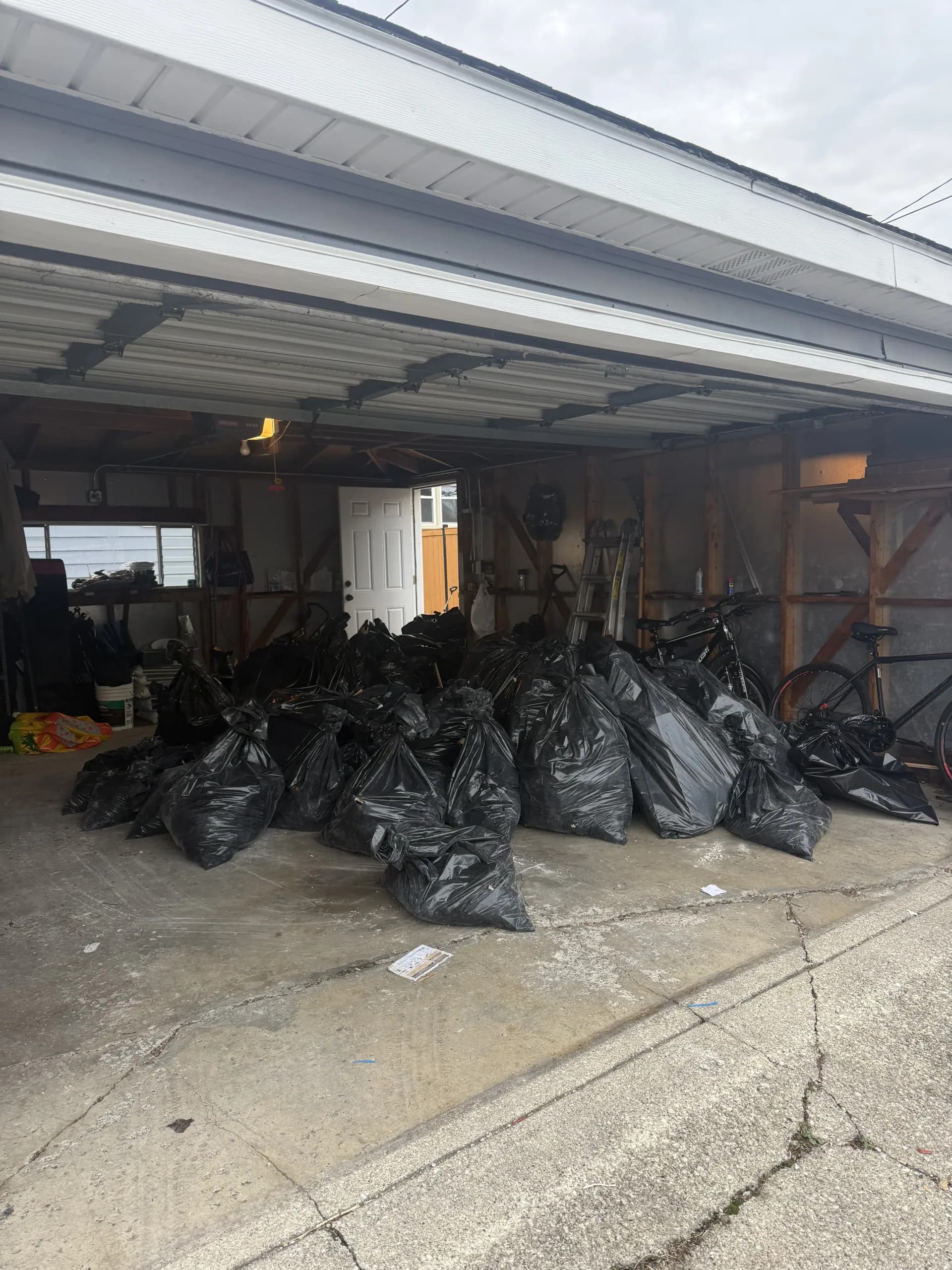 Hoarding Cleanup Service